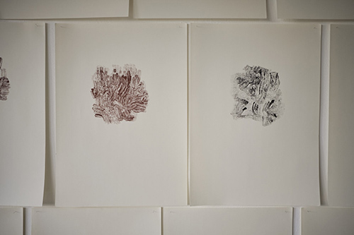 expositions | je-me-souviens | &copy; patrice de Santa Coloma